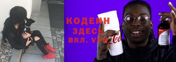 стафф Касимов