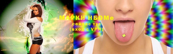стафф Касимов