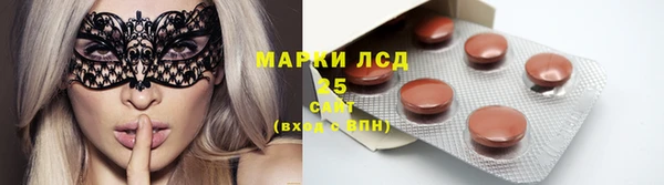 apvp Инсар
