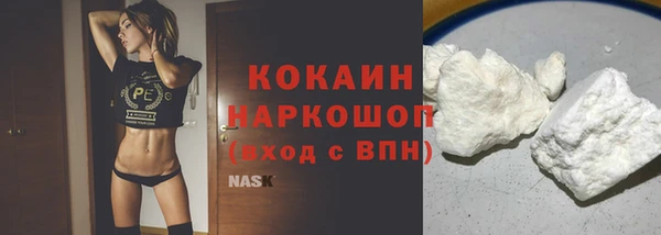 стафф Касимов
