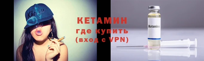 стафф Касимов