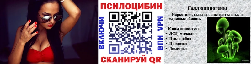 Псилоцибиновые грибы Psilocybe  Котельниково 